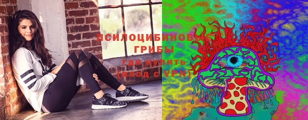 эйфоретик Дмитров