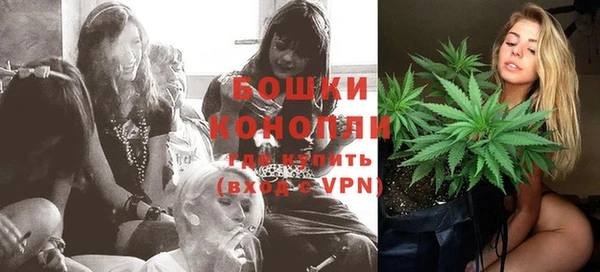 эйфоретик Дмитров
