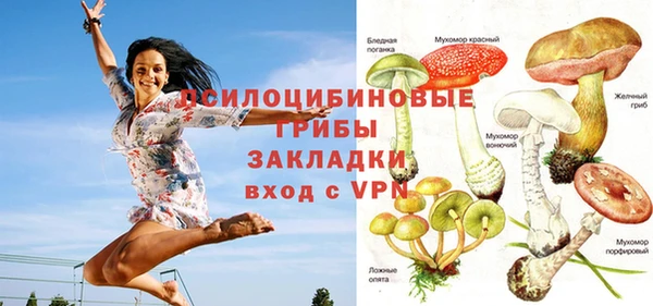 круглые Дмитриев