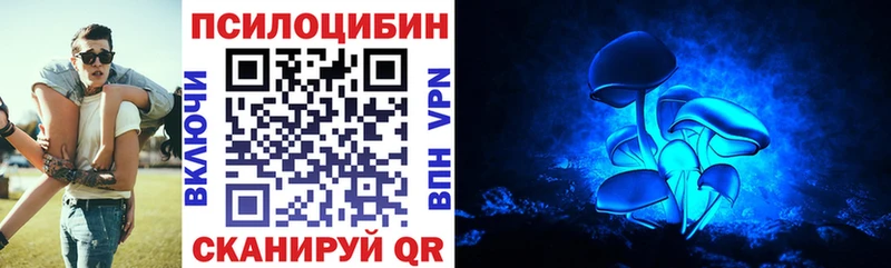 Купить  Кимры  Псилоцибиновые грибы мицелий 